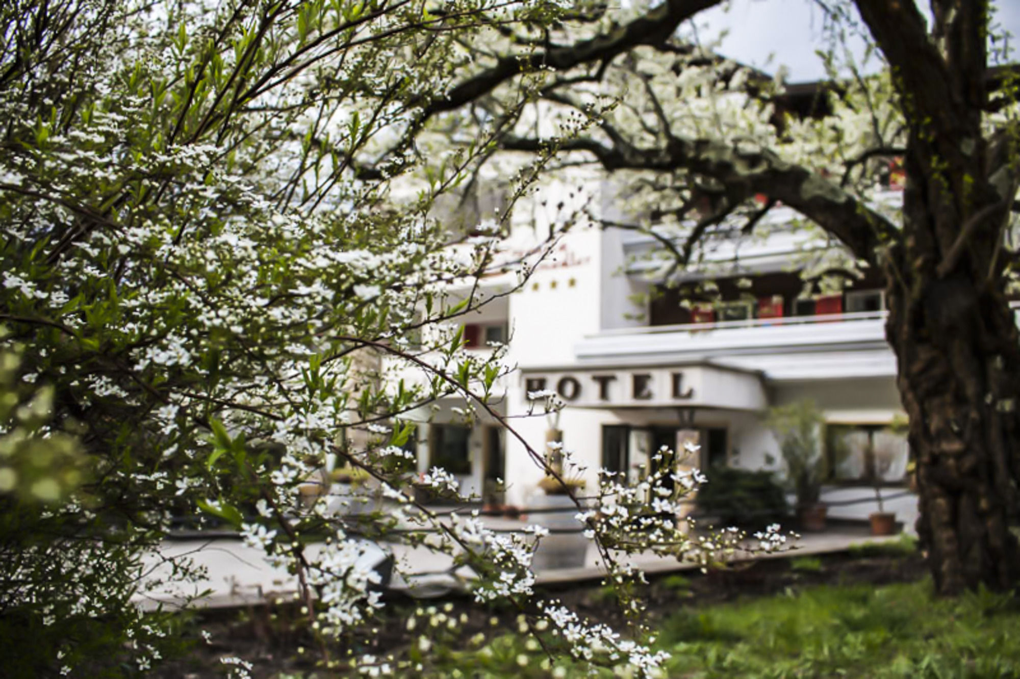Prinz Rudolf Smart Hotel Merano Bagian luar foto
